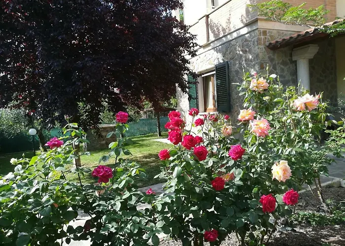 Il Giardino Degli Ulivi
