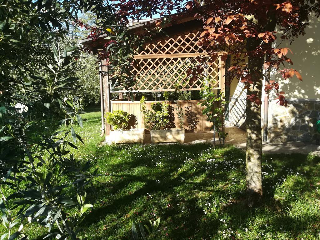 Il Giardino Degli Ulivi Rapolano Terme