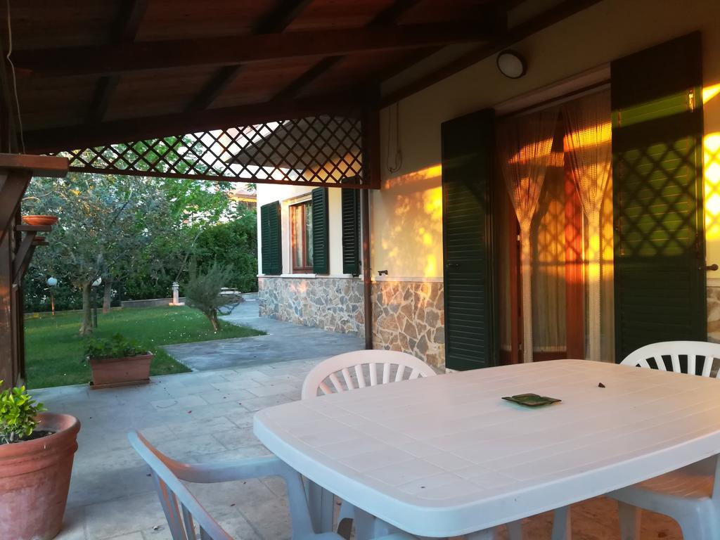Il Giardino Degli Ulivi *