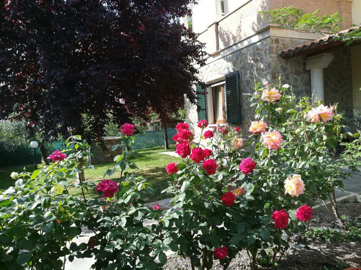 Il Giardino Degli Ulivi Apartment