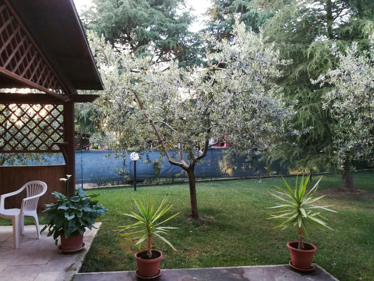 Il Giardino Degli Ulivi Rapolano Terme